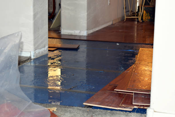 Professional Sewage Cleanup technician working in Hart, MI